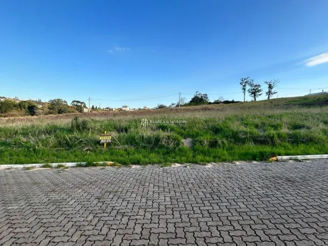 Vista de campo aberto com vegetação seca sob um céu azul claro.