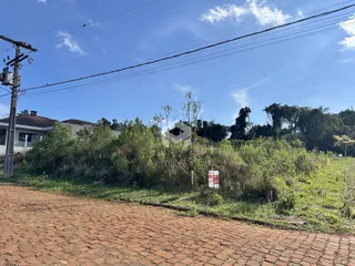 Vista externa de uma propriedade com vegetação densa e estrada de tijolos no primeiro plano.