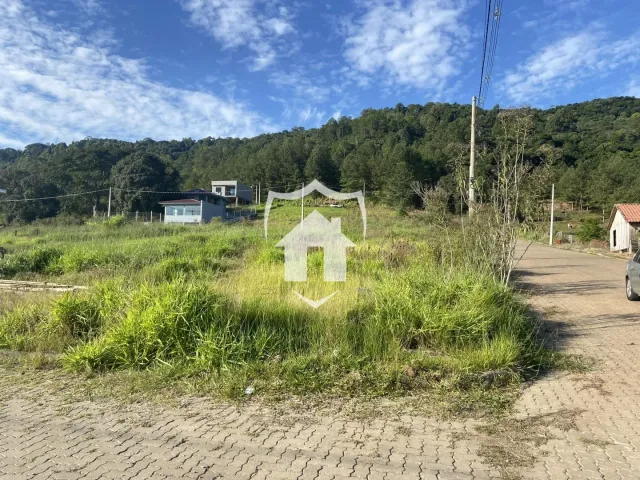 Terreno, foto 3