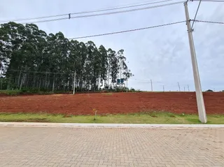 Terreno, foto 5