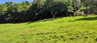 Área rural, foto 4
