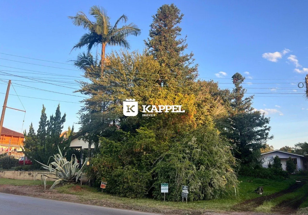 Foto externa mostrando a vegetação e a rua em Lajeado, Brasil.
