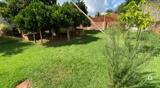 Vista externa de um gramado com árvores em uma propriedade em Lajeado.