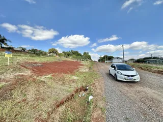Vista de uma estrada de terra ao lado de uma área de vegetação rasteira.