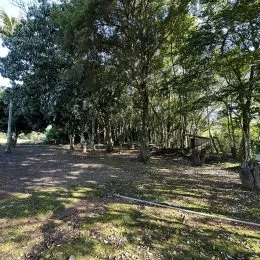Vista externa mostrando uma área com árvores e vegetação.