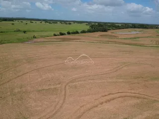 Vista aérea de campos agrícolas secos em Lajeado.