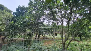 Área rural, foto 11
