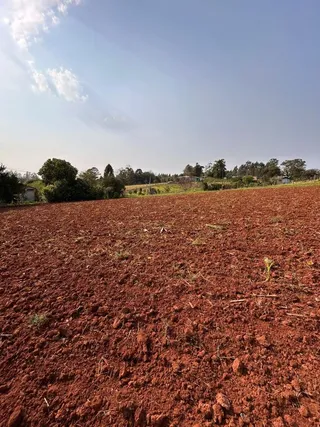 Terreno, foto 2