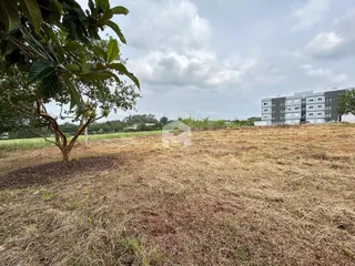 Paisagem de um terreno aberto com vegetação seca e um edifício ao fundo.