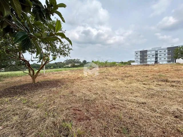 Paisagem de um terreno aberto com vegetação seca e um edifício ao fundo.
