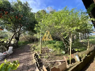 Casa com 4 dormitórios, foto 14