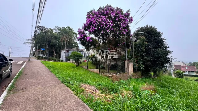 Terreno, foto 4