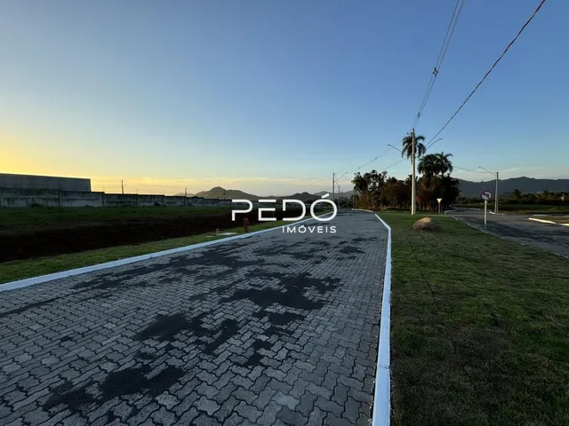 Terreno, foto 1