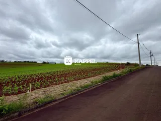 Terreno, foto 2