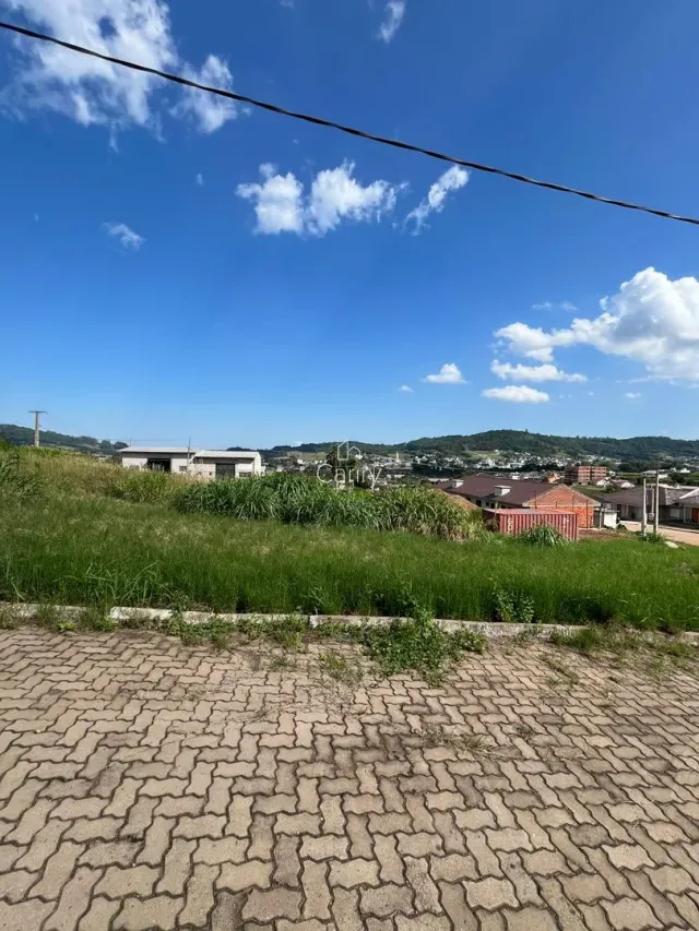 Terreno, foto 2