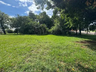 Vista de um campo de grama verde com vegetação densa ao fundo.