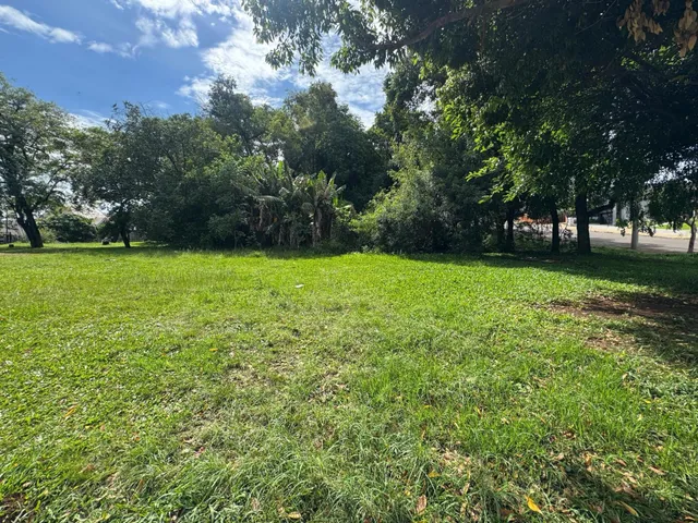 Vista de um campo de grama verde com vegetação densa ao fundo.