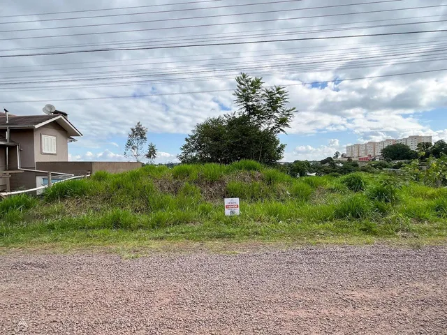 Terreno