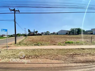 Campo aberto com vegetação seca e estrada no primeiro plano.