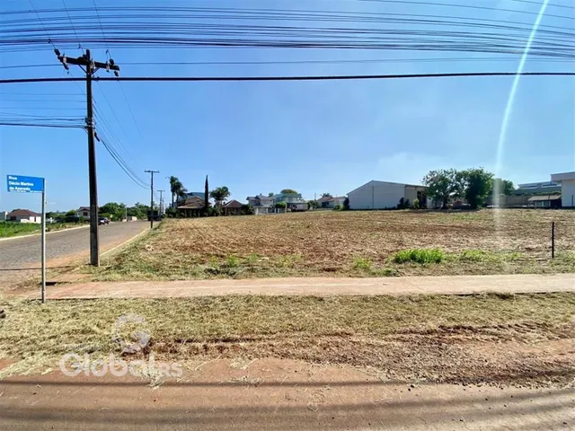 Campo aberto com vegetação seca e estrada no primeiro plano.