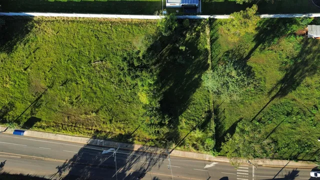 Vista aérea de uma encosta verde com vegetação ao lado de uma estrada.
