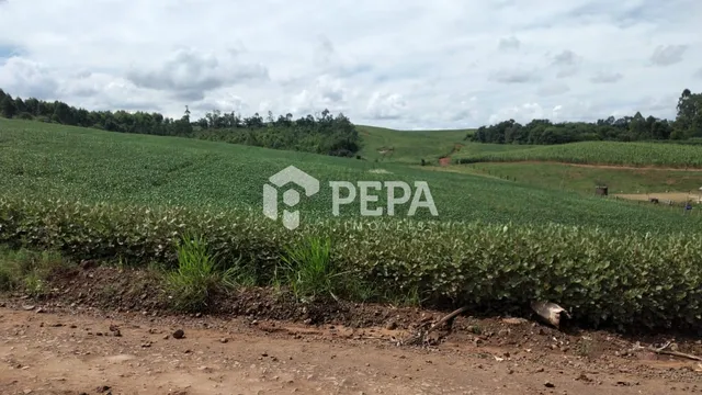 Terreno, foto 2