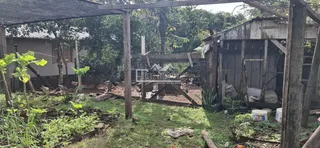 Terreno, foto 7