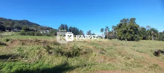 Vista de uma paisagem de campo aberto com vegetação e árvores ao fundo.