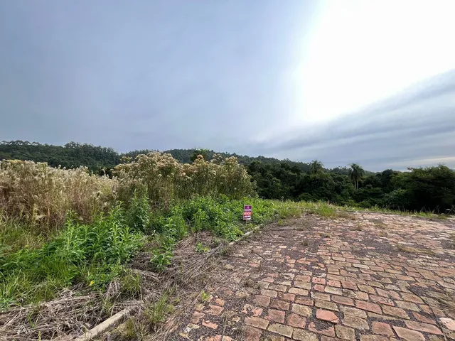 Terreno, foto 2