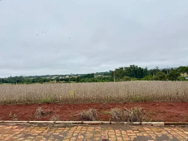 Terreno com 3 dormitórios, foto 3