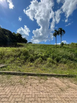 Terreno, foto 1
