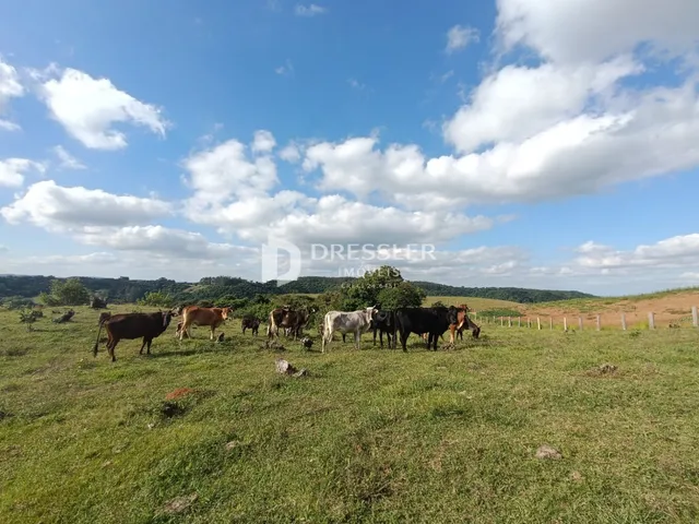 Área rural com 2 dormitórios, foto 3