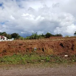 Paisagem de terra seca e vegetação rasteira em uma área externa.