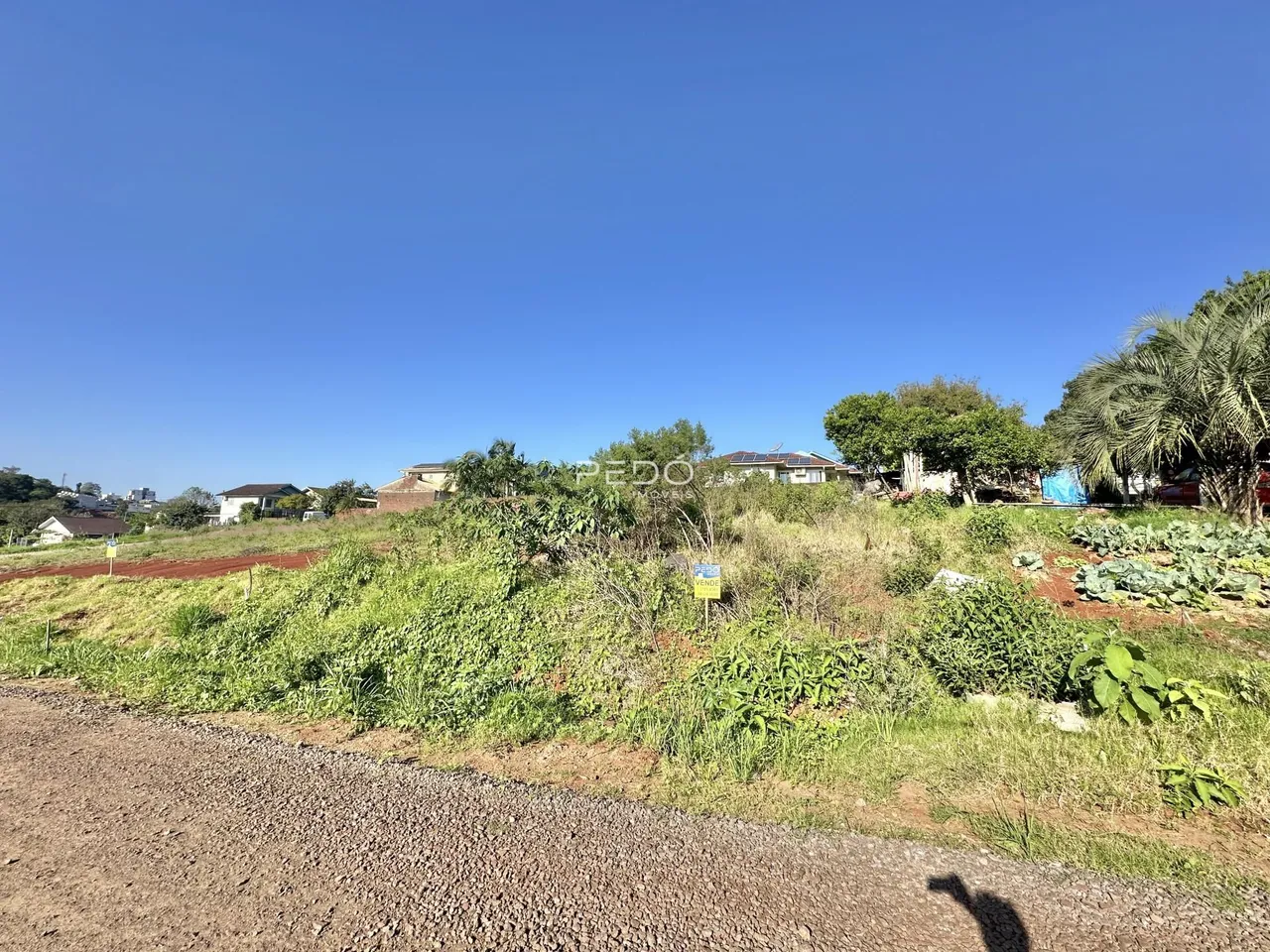 Paisagem de terra e vegetação ao lado de uma estrada no exterior de uma propriedade.