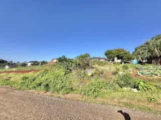 Paisagem de terra e vegetação ao lado de uma estrada no exterior de uma propriedade.