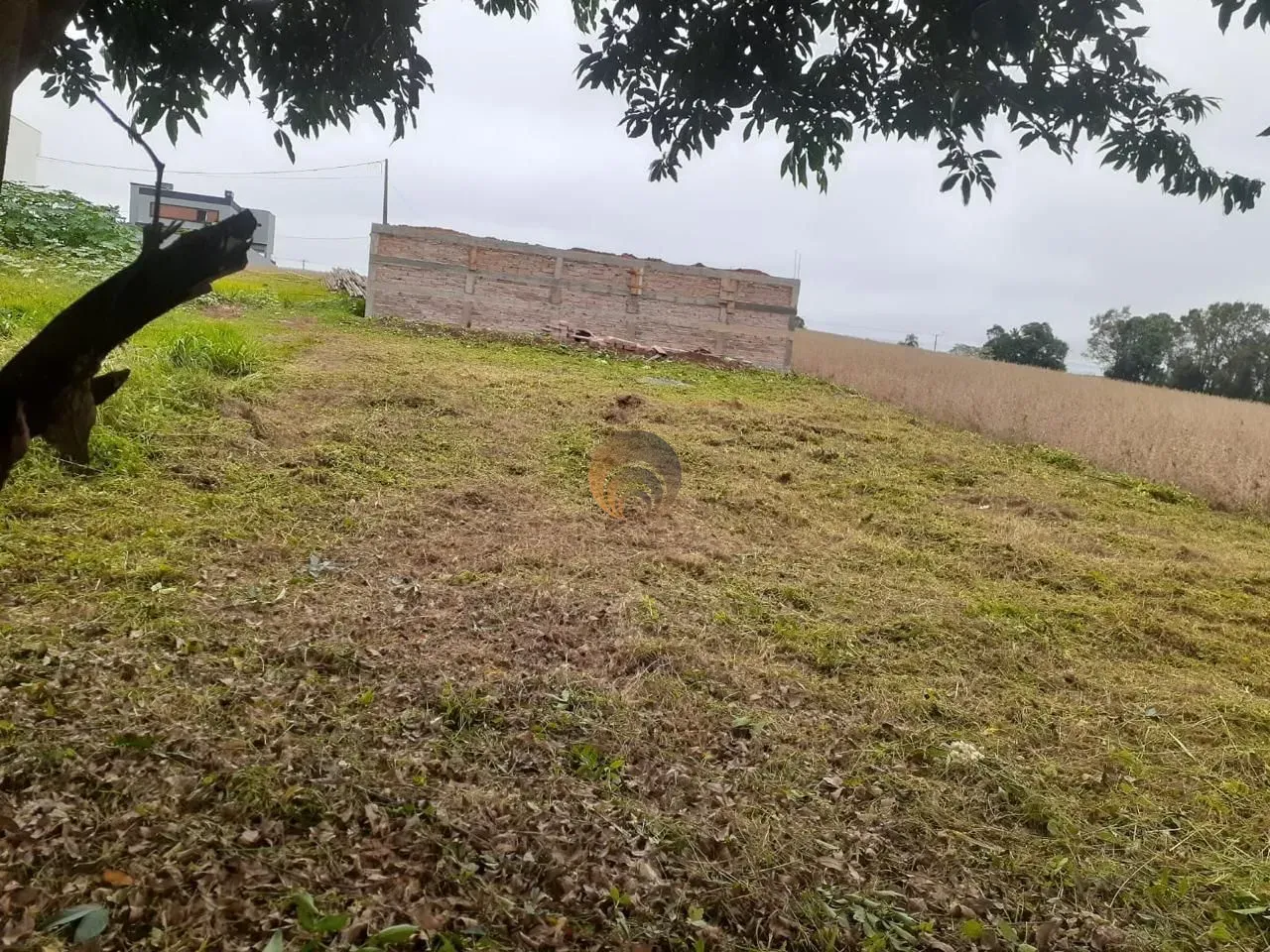 Terreno, foto 1