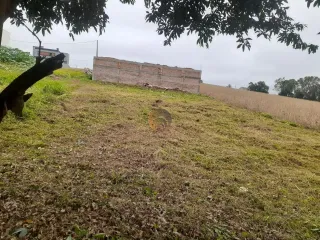 Terreno, foto 1