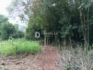 Área rural, foto 4
