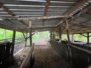 Área rural com 2 dormitórios, foto 18