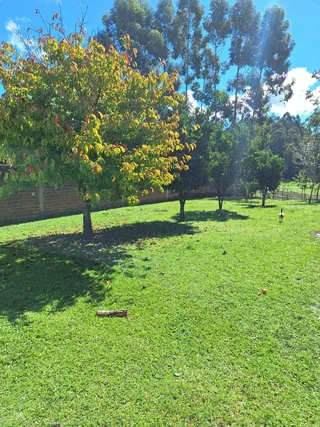Área rural com 2 dormitórios, foto 7