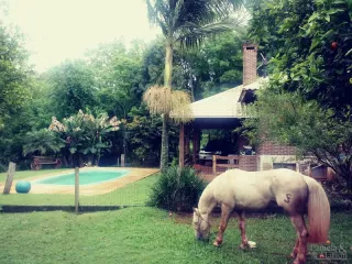 Área rural com 3 dormitórios, foto 31