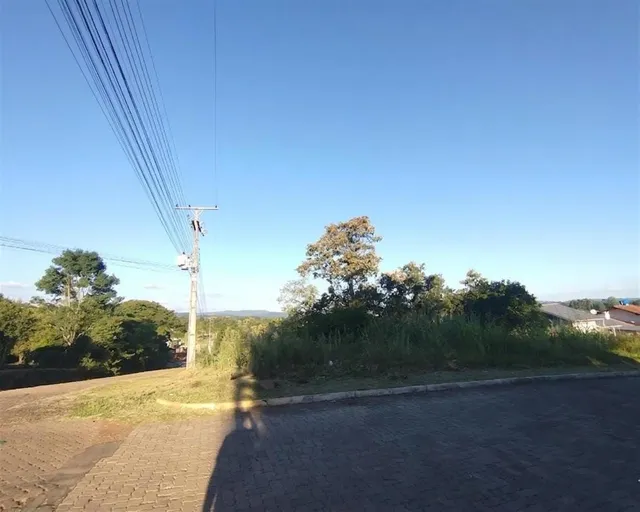 Terreno, foto 2