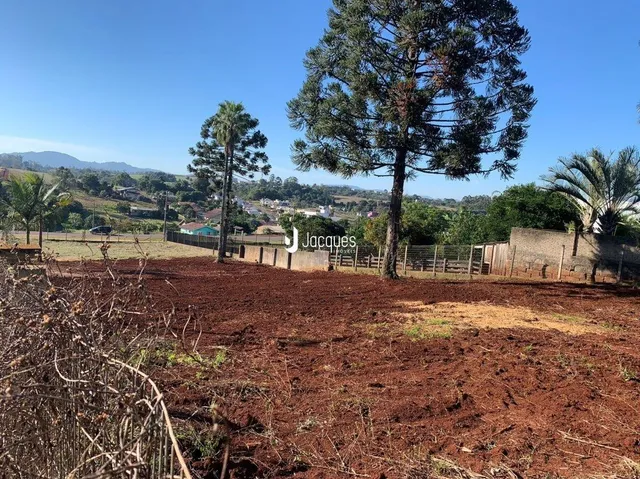 Terreno com solo marrom e vegetação no campo.