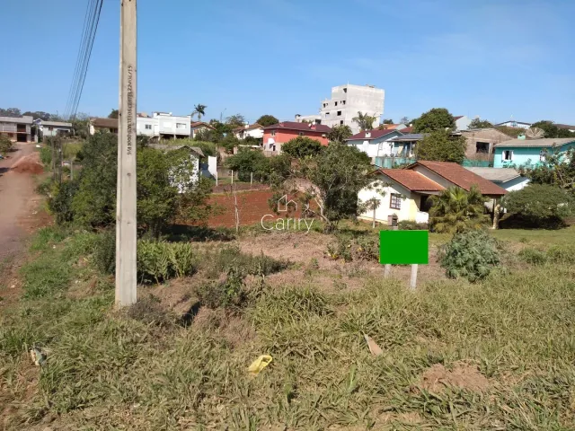 Terreno, foto 3