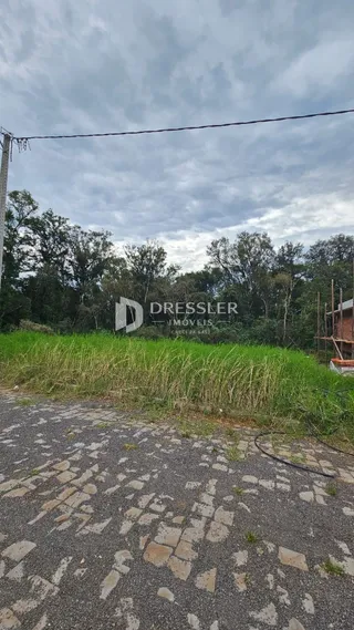 Vista externa de um terreno com vegetação e pavimento.