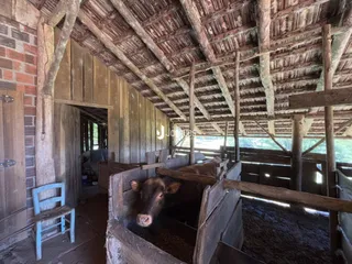 Área rural com 2 dormitórios, foto 10