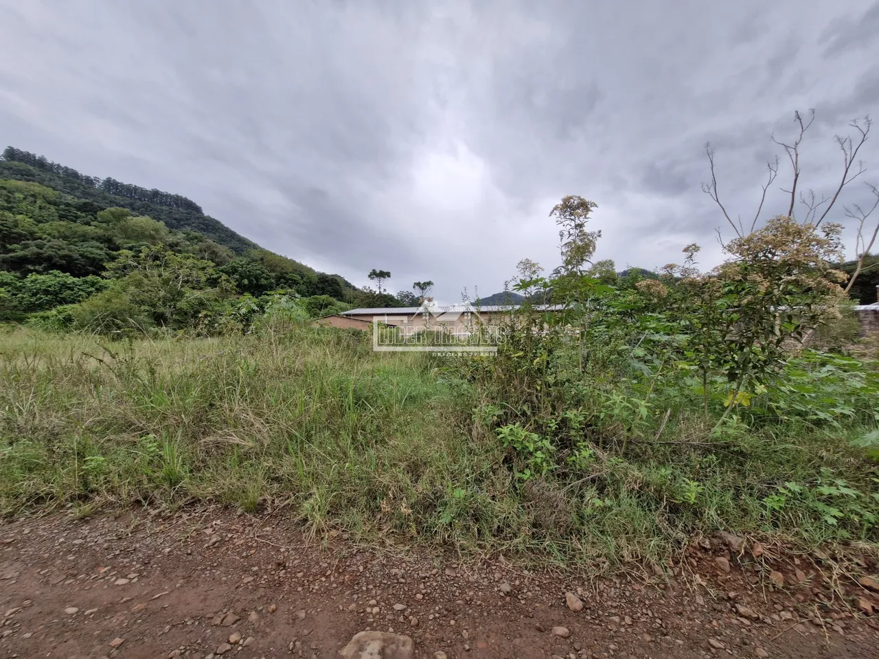 Terreno, foto 1