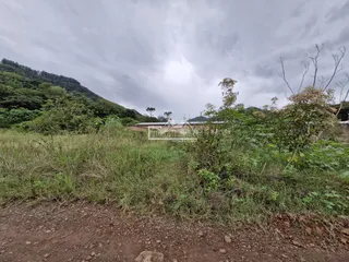 Terreno, foto 1