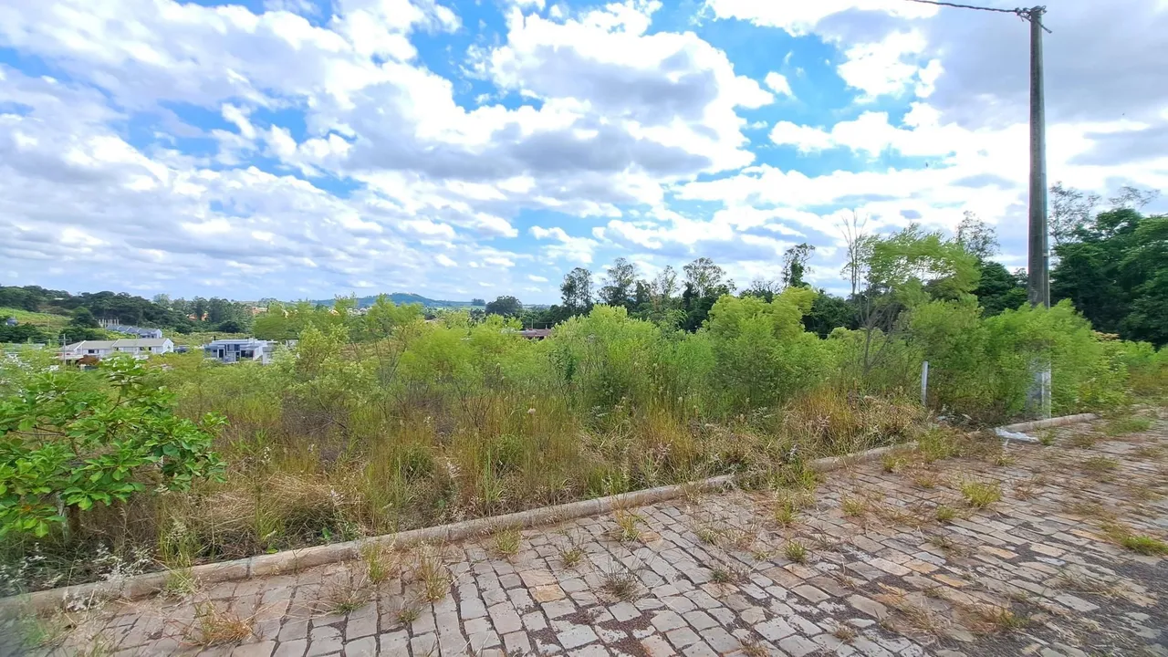 Terreno, foto 1