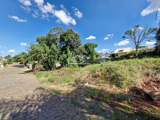 Terreno, foto 4